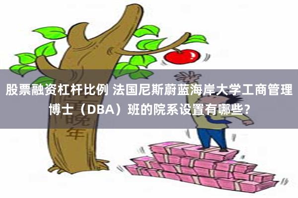   股票融资杠杆比例 法国尼斯蔚蓝海岸大学工商管理博士（DBA）班的院系设置有哪些？