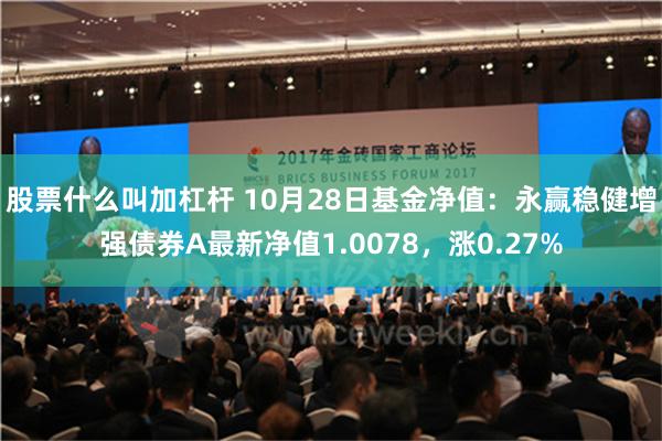 股票什么叫加杠杆 10月28日基金净值：永赢稳健增强债券A最新净值1.0078，涨0.27%