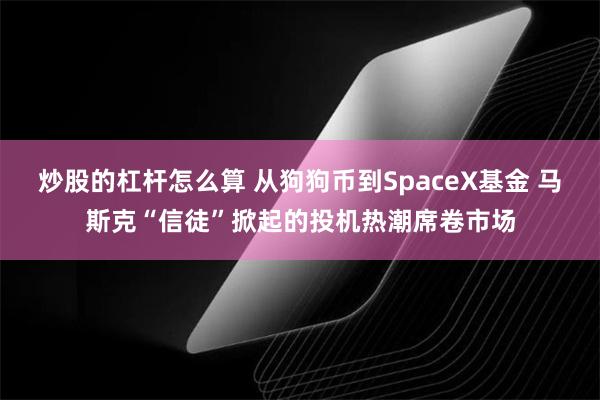 炒股的杠杆怎么算 从狗狗币到SpaceX基金 马斯克“信徒”掀起的投机热潮席卷市场