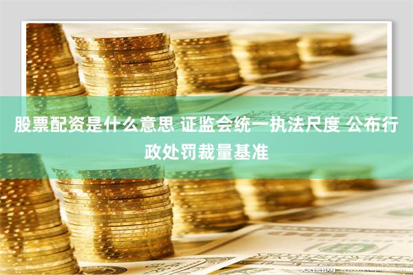 股票配资是什么意思 证监会统一执法尺度 公布行政处罚裁量基准