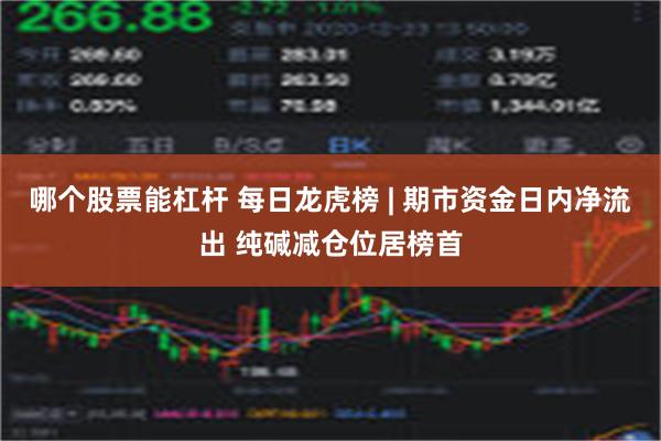 哪个股票能杠杆 每日龙虎榜 | 期市资金日内净流出 纯碱减仓