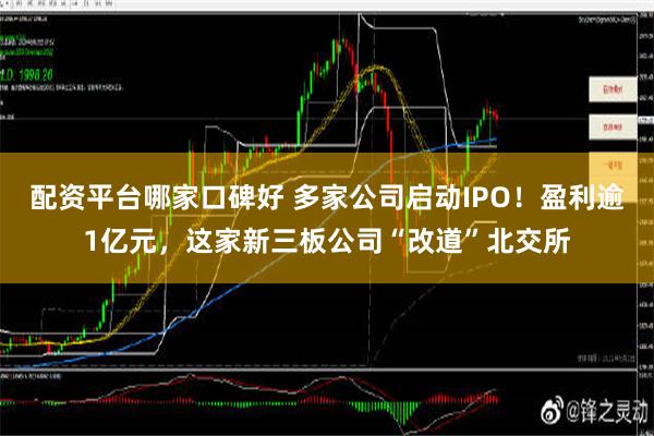 配资平台哪家口碑好 多家公司启动IPO！盈利逾1亿元，这家新