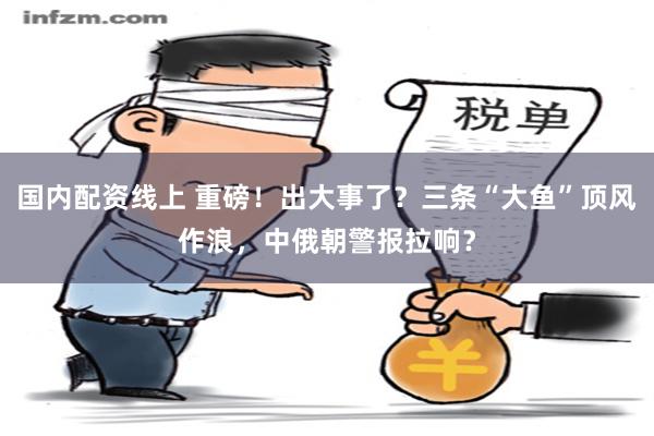 国内配资线上 重磅！出大事了？三条“大鱼”顶风作浪，中俄朝警报拉响？